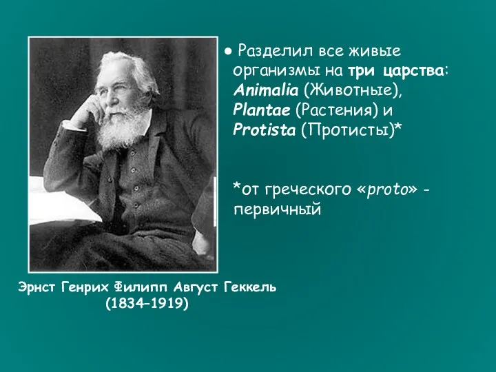 Эрнст Генрих Филипп Август Геккель (1834–1919) Разделил все живые организмы