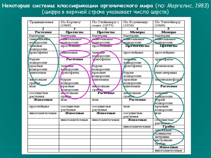 Некоторые системы классификации органического мира (по: Маргелис, 1983) (цифра в верхней строке указывает число царств)