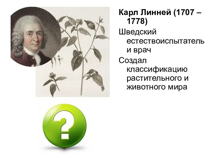 Карл Линней (1707 – 1778) Шведский естествоиспытатель и врач Создал классификацию растительного и животного мира