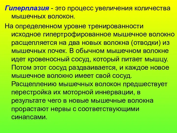 Гиперплазия - это процесс увеличения количества мышечных волокон. На определенном