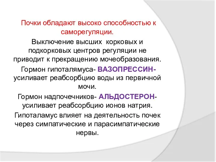 Почки обладают высоко способностью к саморегуляции. Выключение высших корковых и