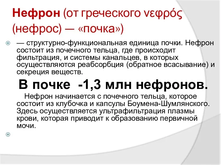 Нефрон (от греческого νεφρός (нефрос) — «почка») — структурно-функциональная единица