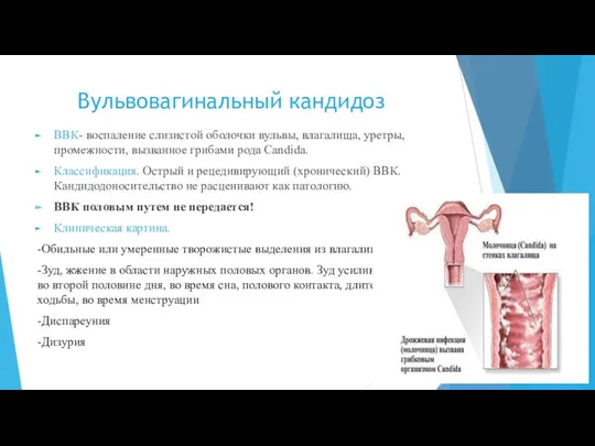 Вульвовагинальный кандидоз ВВК- воспаление слизистой оболочки вульвы, влагалища, уретры, промежности,