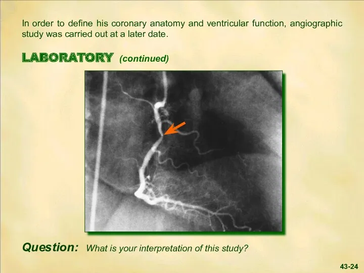 In order to define his coronary anatomy and ventricular function,