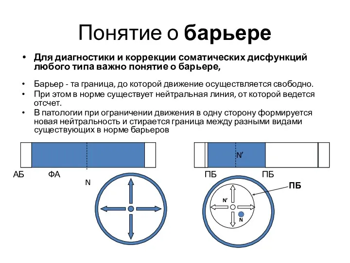 Понятие о барьере Для диагностики и коррекции соматических дисфункций любого