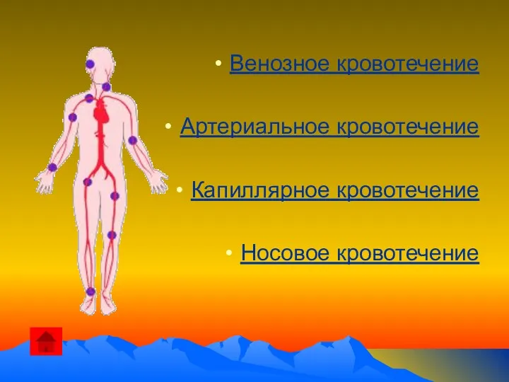 Венозное кровотечение Артериальное кровотечение Капиллярное кровотечение Носовое кровотечение