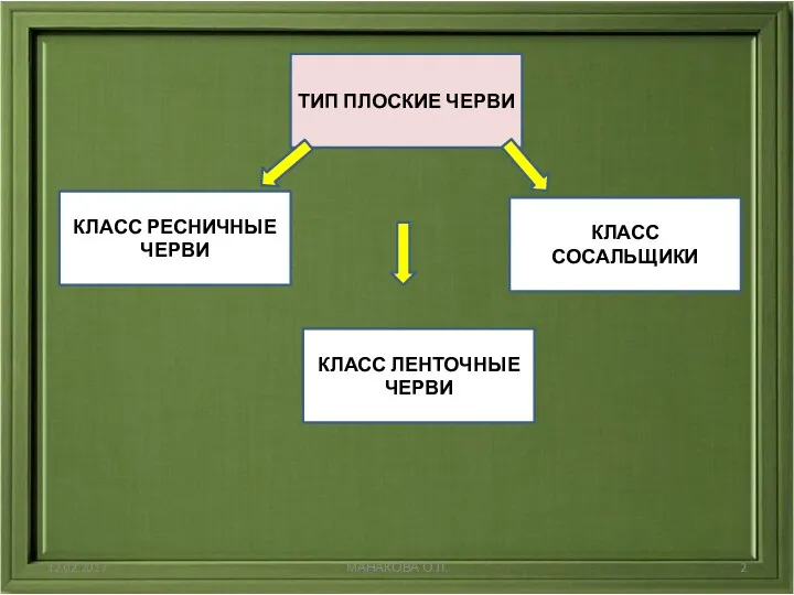 12.02.2017 МАНАКОВА О.Л. ТИП ПЛОСКИЕ ЧЕРВИ КЛАСС РЕСНИЧНЫЕ ЧЕРВИ КЛАСС СОСАЛЬЩИКИ КЛАСС ЛЕНТОЧНЫЕ ЧЕРВИ