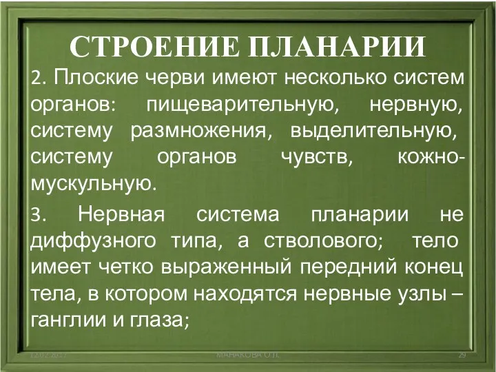 СТРОЕНИЕ ПЛАНАРИИ 2. Плоские черви имеют несколько систем органов: пищеварительную,