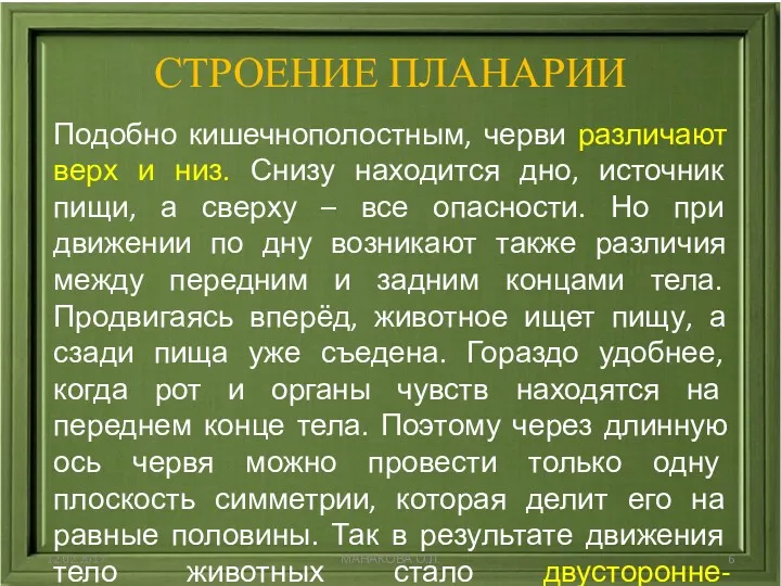 СТРОЕНИЕ ПЛАНАРИИ 12.02.2017 МАНАКОВА О.Л. Подобно кишечнополостным, черви различают верх