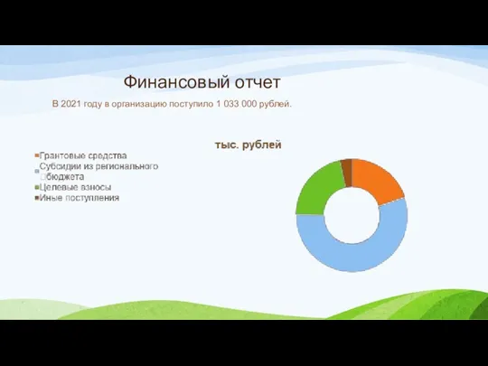 Финансовый отчет В 2021 году в организацию поступило 1 033 000 рублей.