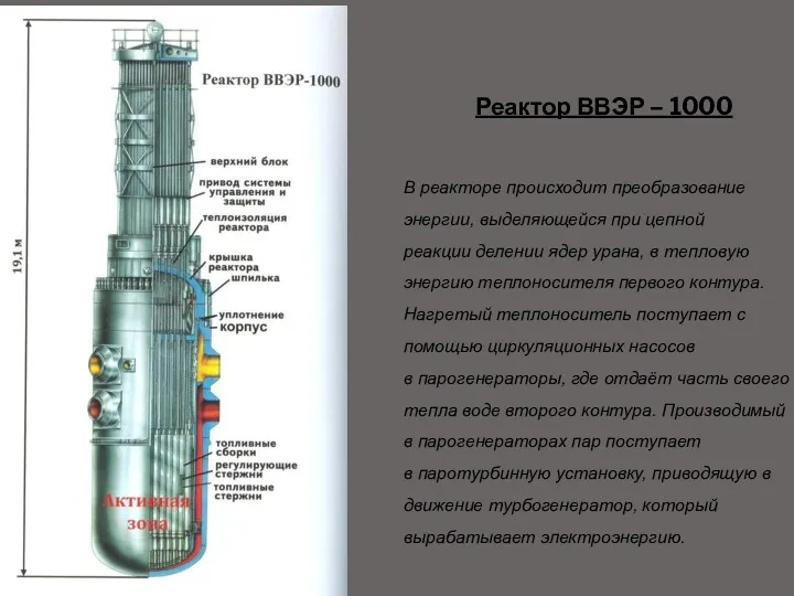 Реактор ВВЭР – 1000 В реакторе происходит преобразование энергии, выделяющейся