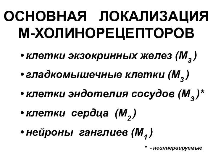 ОСНОВНАЯ ЛОКАЛИЗАЦИЯ М-ХОЛИНОРЕЦЕПТОРОВ клетки экзокринных желез (М3 ) гладкомышечные клетки