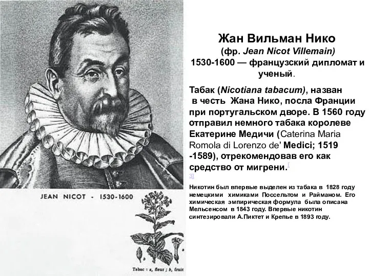 Табак (Nicotiana tabacum), назван в честь Жана Нико, посла Франции