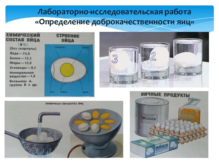 Лабораторно-исследовательская работа «Определение доброкачественности яиц»