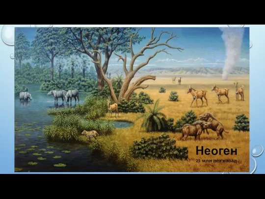 Неоген 25 млн лет назад