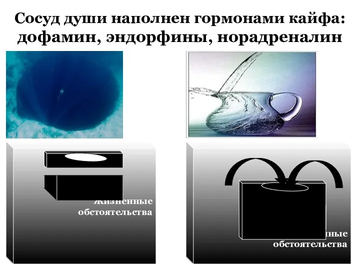 Сосуд души наполнен гормонами кайфа: дофамин, эндорфины, норадреналин