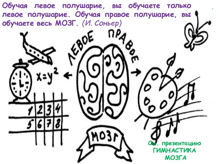 Обучая левое полушарие, вы обучаете только левое полушарие. Обучая правое полушарие, вы обучаете