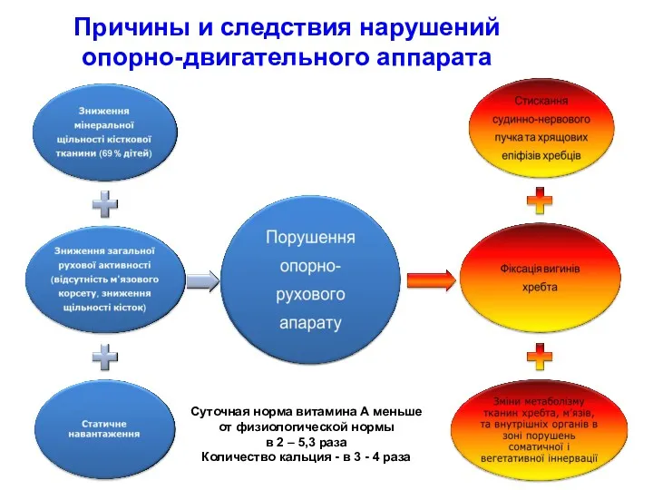 Причины и следствия нарушений опорно-двигательного аппарата Суточная норма витамина А