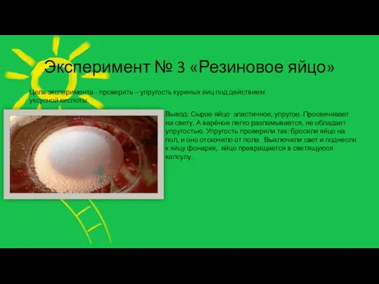 Эксперимент № 3 «Резиновое яйцо» Цель эксперимента - проверить –