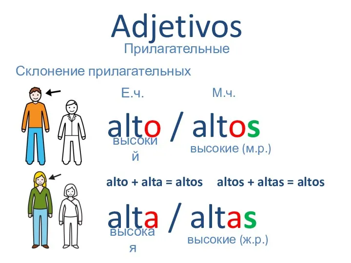 Adjetivos Прилагательные Склонение прилагательных alto / altos alta / altas