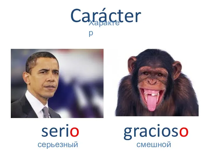 Carácter serio серьезный Характер gracioso смешной