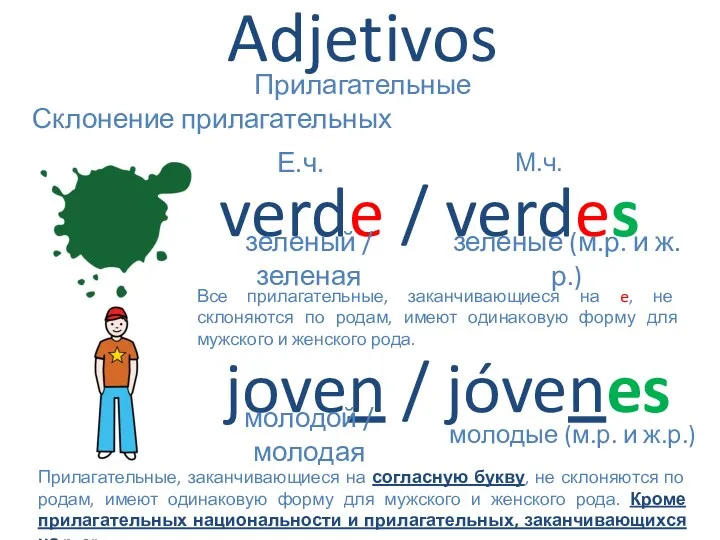 Adjetivos Прилагательные Склонение прилагательных verde / verdes Е.ч. М.ч. зеленый