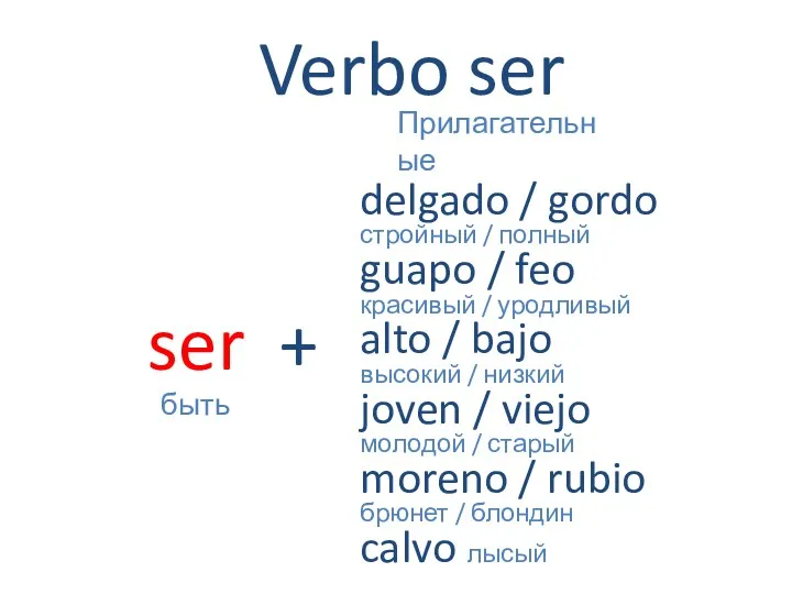 ser быть Verbo ser delgado / gordo стройный / полный