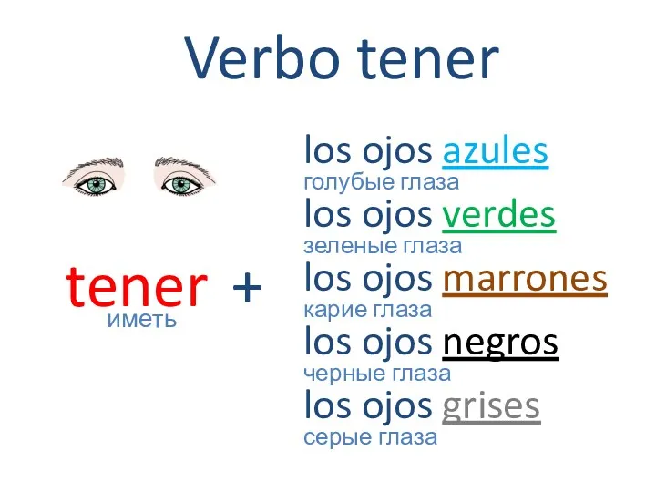 tener иметь Verbo tener los ojos azules голубые глаза los