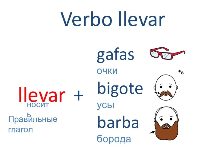 llevar носить Verbo llevar gafas очки bigote усы barba борода + Правильные глагол