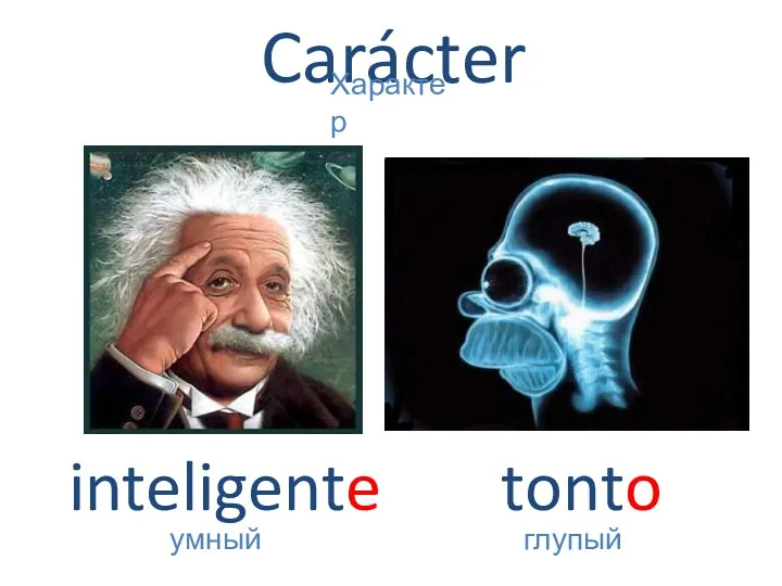 Carácter inteligente умный Характер tonto глупый