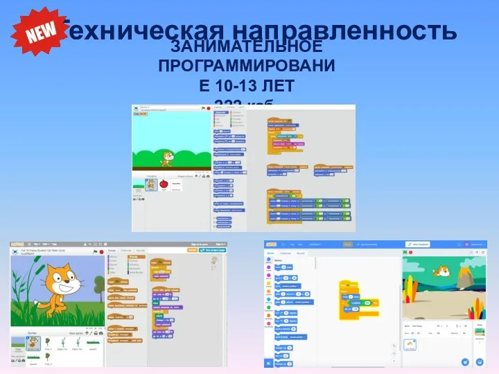 Техническая направленность ЗАНИМАТЕЛЬНОЕ ПРОГРАММИРОВАНИЕ 10-13 ЛЕТ 222 каб.