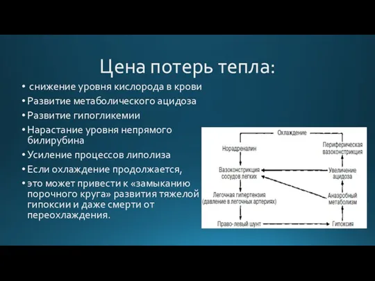 Цена потерь тепла: снижение уровня кислорода в крови Развитие метаболического ацидоза Развитие гипогликемии