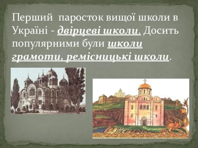 Перший паросток вищої школи в Україні - двірцеві школи. Досить популярними були школи грамоти, ремісницькі школи.