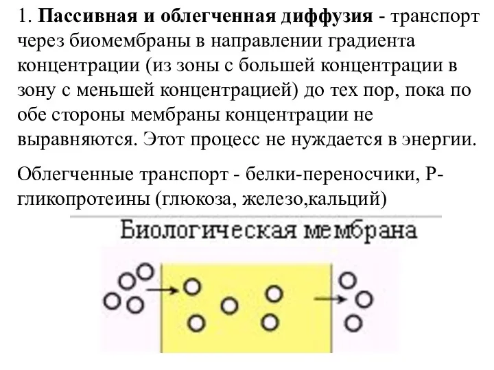 1. Пассивная и облегченная диффузия - транспорт через биомембраны в