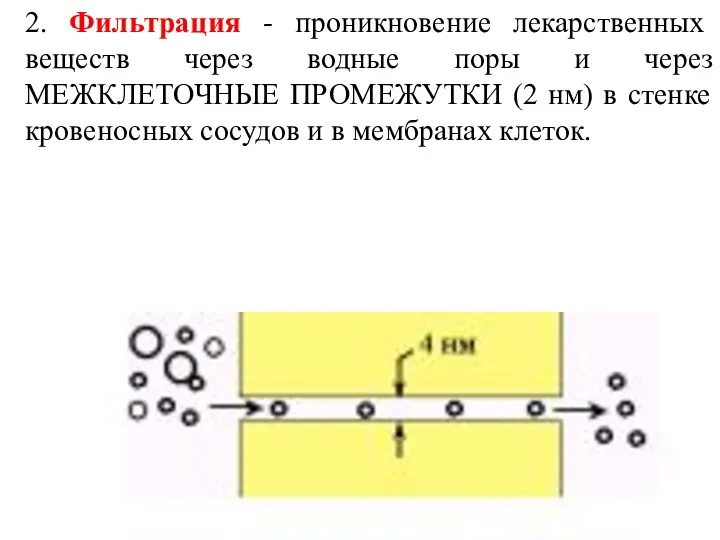 2. Фильтрация - проникновение лекарственных веществ через водные поры и