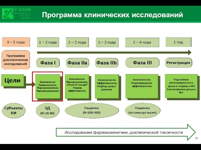 Программа клинических исследований Исследования фармакокинетики, доклинической токсичности 15