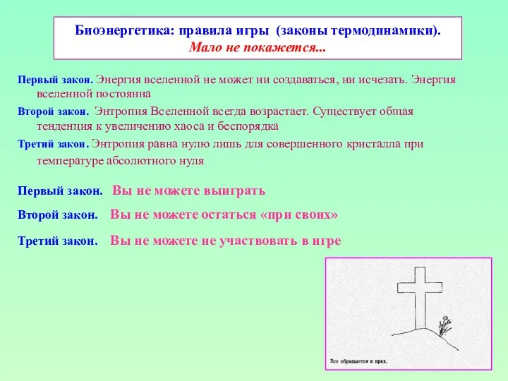 Биоэнергетика: правила игры (законы термодинамики). Мало не покажется... Первый закон.