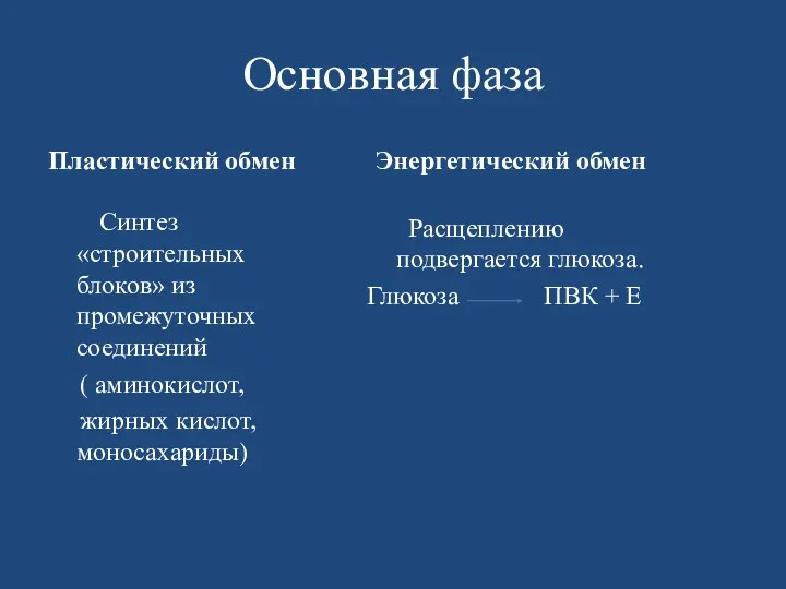 Основная фаза Пластический обмен Синтез «строительных блоков» из промежуточных соединений