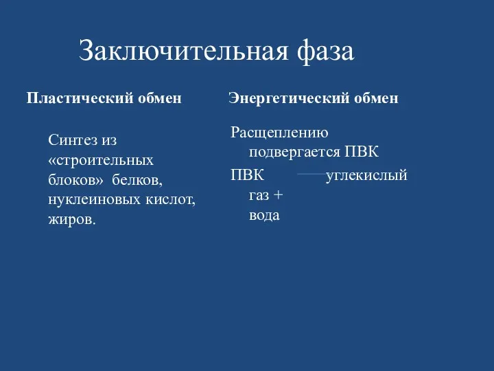 Заключительная фаза Пластический обмен Синтез из «строительных блоков» белков, нуклеиновых