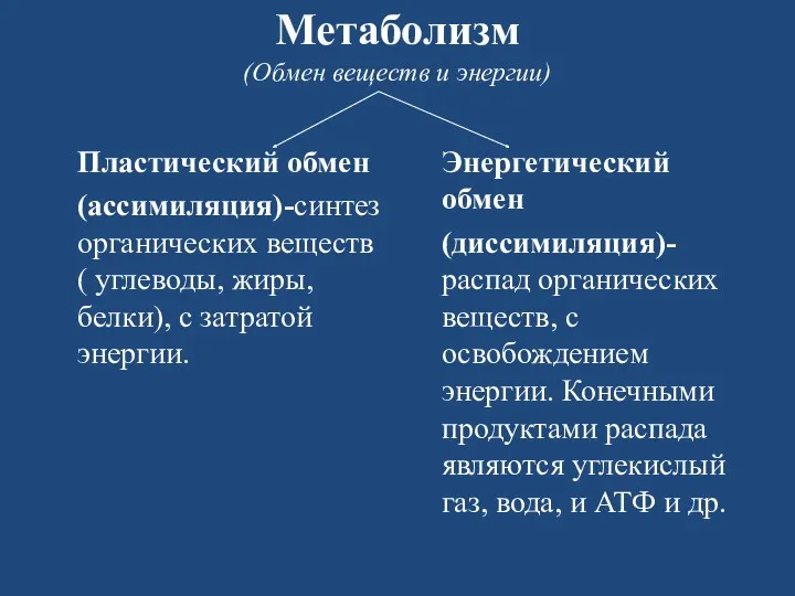 Метаболизм (Обмен веществ и энергии) Пластический обмен (ассимиляция)-синтез органических веществ