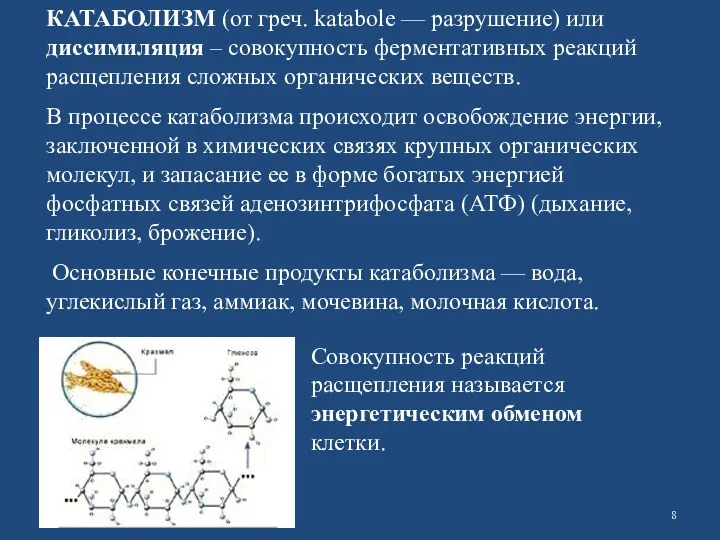 КАТАБОЛИЗМ (от греч. katabole — разрушение) или диссимиляция – совокупность