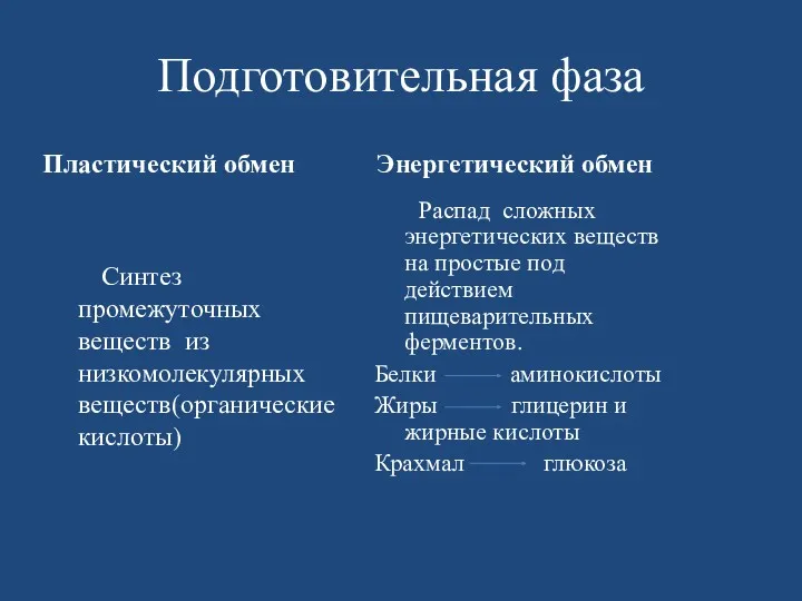 Подготовительная фаза Пластический обмен Синтез промежуточных веществ из низкомолекулярных веществ(органические