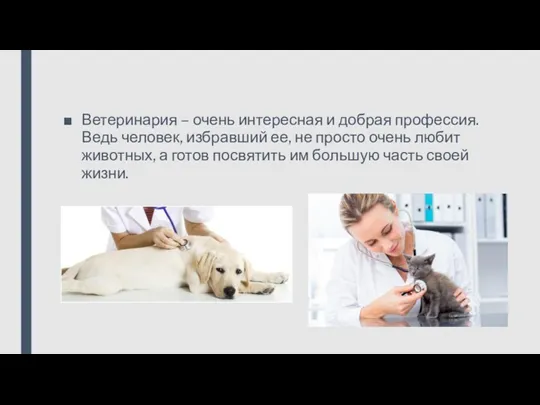 Ветеринария – очень интересная и добрая профессия. Ведь человек, избравший