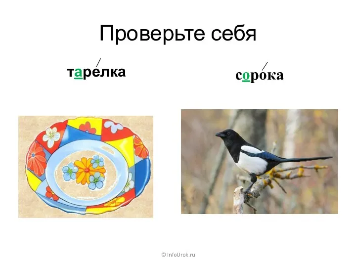 Проверьте себя тарелка сорока © InfoUrok.ru