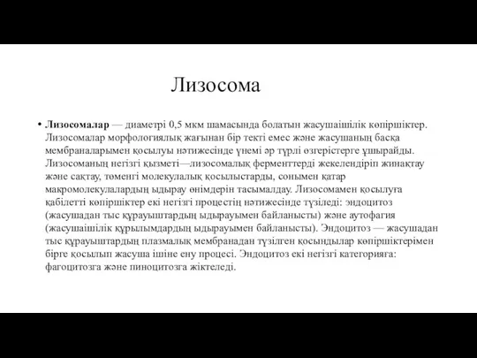 Лизосома Лизосомалар — диаметрі 0,5 мкм шамасында болатын жасушаішілік көпіршіктер.