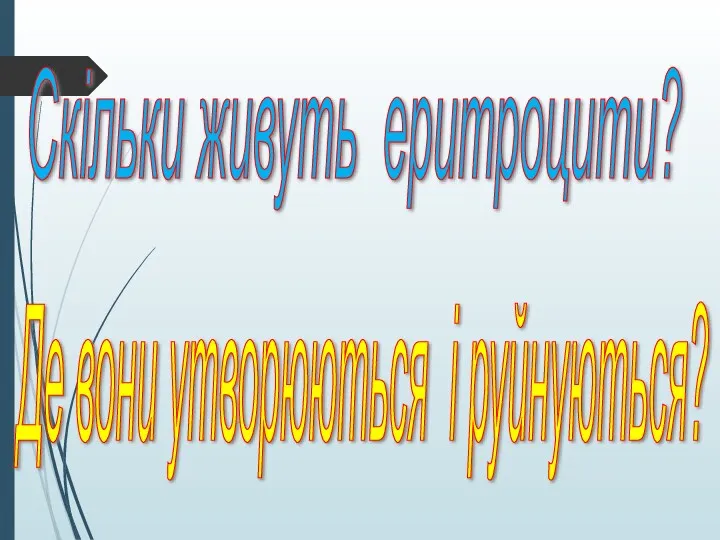 Скільки живуть еритроцити? Де вони утворюються і руйнуються?