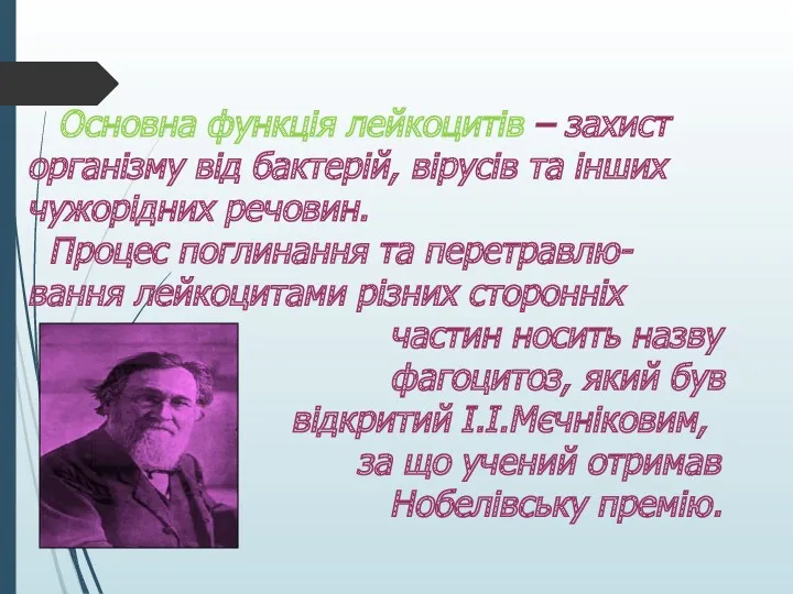 Основна функція лейкоцитів – захист організму від бактерій, вірусів та