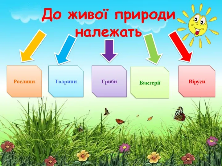 До живої природи належать Рослини Тварини Гриби Бактерії Віруси