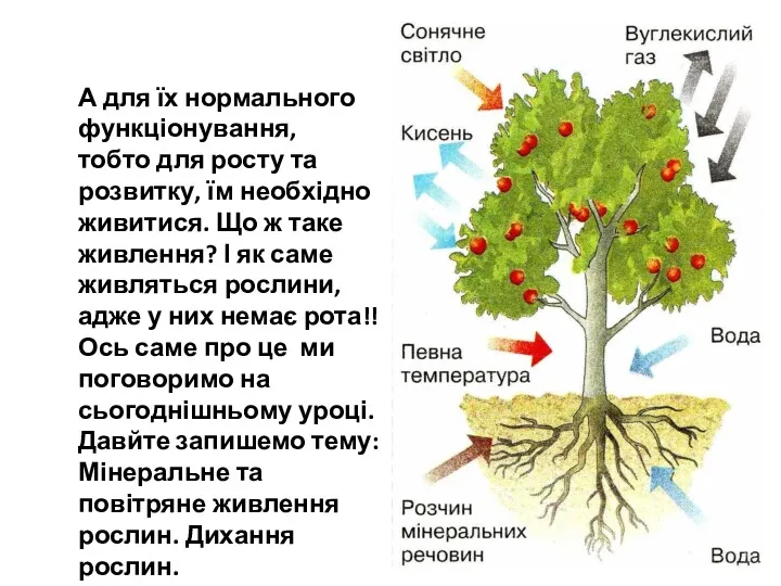 А для їх нормального функціонування, тобто для росту та розвитку,