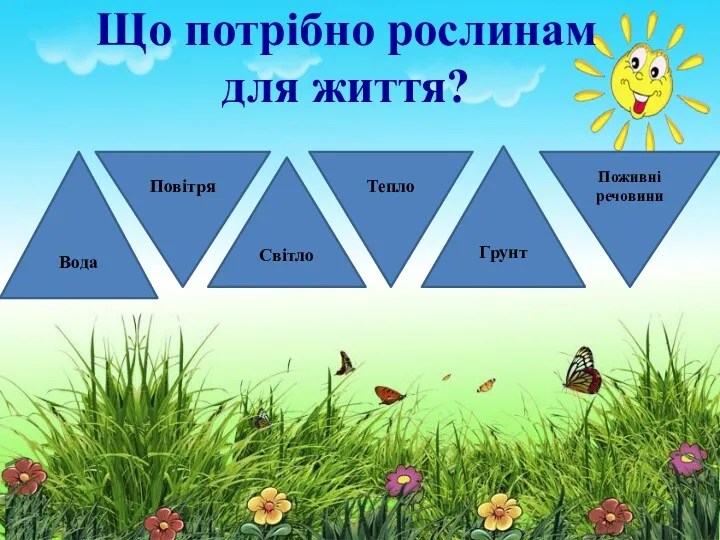 Що потрібно рослинам для життя? Вода Грунт Світло Повітря Тепло Поживні речовини